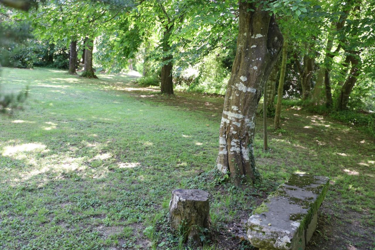 Domaine De Pouroutounat Mirepoix  Esterno foto