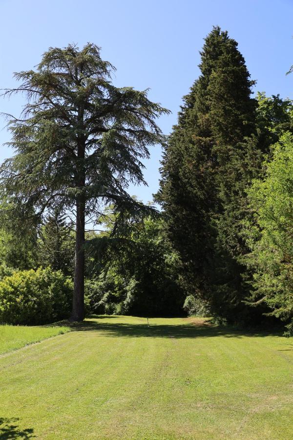 Domaine De Pouroutounat Mirepoix  Esterno foto